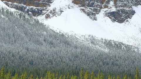 FGP Vittorio Ricci concorso fotografico confini Archivio Fondation Grand Paradis