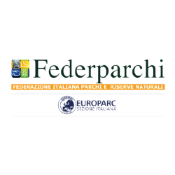 Federparchi